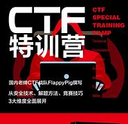 （pdf书籍）CTF特训营-资源分享区论坛-网信安全-讯岚社区